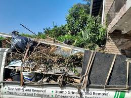 Best Shed Removal  in Spring Valley, IL